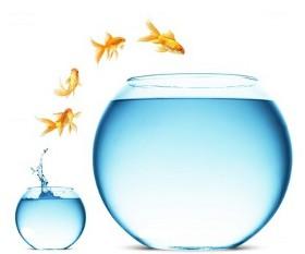 C&rsquo;est pourquoi on déménage!